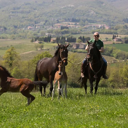Poggiovalle Tenuta Italiana Belvedere (Umbria)