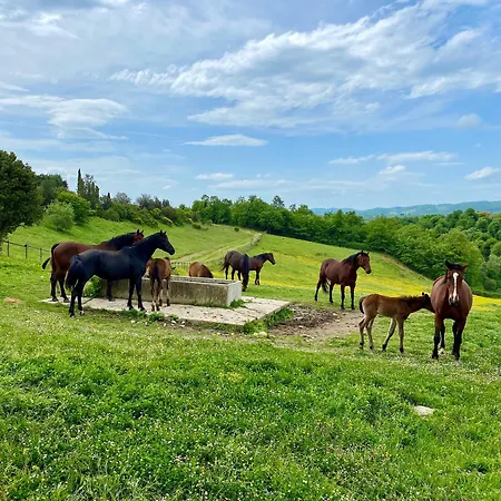 Poggiovalle Tenuta Italiana Hotel 4*